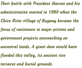 Battle of Bugnay