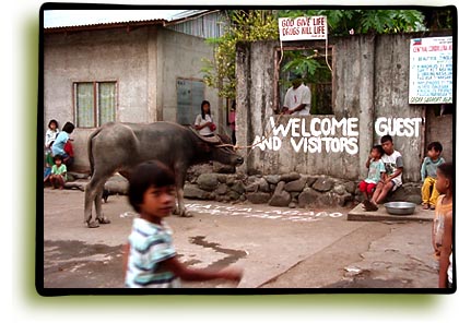 visitors welcome
